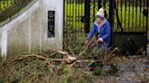 Storm Elin and Storm Fergus to bring gale force winds to Ireland