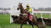 Saturday horse racing tips: Sir Gino can better Burdett Road at Cheltenham