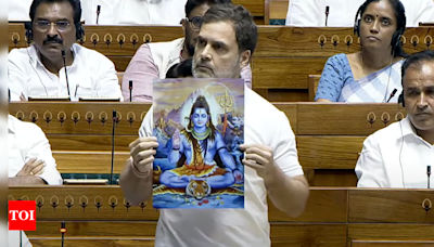 Rahul Gandhi Lok Sabha speech: Top quotes | India News - Times of India