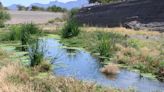 Arizona's Santa Cruz River is the fourth-most endangered waterway