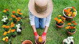 Gardening has great mental and physical health benefits. Here's why you should pull weeds and plant seeds.