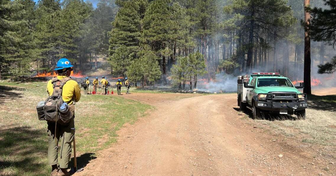 Lake Mary Road speed limit lowered to assist in Wolf Fire backburning operations