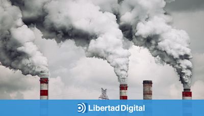 ¿Cuáles son los efectos de la contaminación en los pulmones?