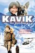 The Courage of Kavik the Wolf Dog