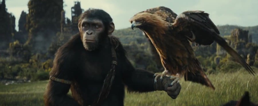 ‘Kingdom” poses serious questions to apes, humans