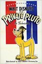 Private Pluto