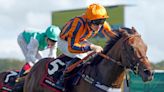 Epsom Derby 2024: When is the race tomorrow, how to watch it on TV and the odds