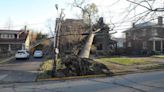 March wind storms exposed problems in Lexington. Here’s what needs to be fixed, report says