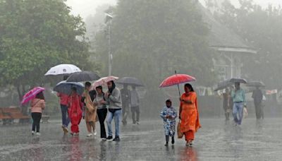 Tamil Nadu Weather Update: Chennai Tops Rainfall Chart With 15 CMS, Yellow Alert Issued For 7 Dists