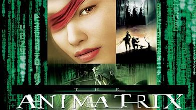 The Animatrix