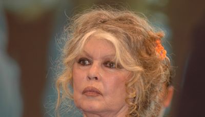 Alain Delon : "C'est interdit de...", Brigitte Bardot hausse le ton en donnant des nouvelles de l'acteur