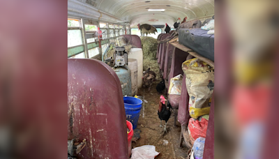 Bus in Adams Co. found carrying animals used for alleged bestiality; driver arrested