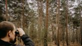 Birdwatching can improve mental health and foster a sense of well-being