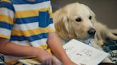 Season for Sharing: Paws & Think helps kids read by giving them the best listeners — dogs