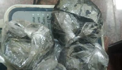 Fazilka: Two arrested for smuggling opium