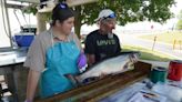 Smith: Data collection on Lake Michigan salmon and trout key part of fisheries management