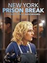 New York Prison Break the Seduction of Joyce Mitchell