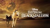 The Young Black Stallion: Where to Watch & Stream Online