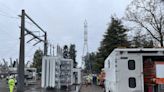 Vandalism at three electricity substations cuts power to 14,000 homes in Washington state