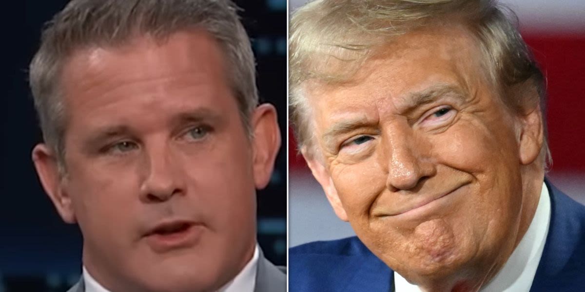 Adam Kinzinger's Way-Too-Specific Description Of Trump Body Odor Might Make You Gag