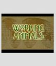 Working Animals