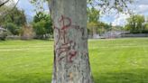 $1,000 reward offered for information on vandals in Ogden parks