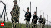 Pak intruder shot dead near border in Fazilka | Amritsar News - Times of India