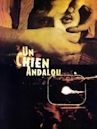 Un chien andalou - Un cane andaluso