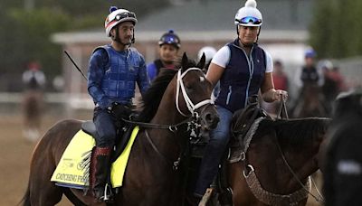Meet Catching Freedom, the Iowa-owned horse in this weekend's Kentucky Derby