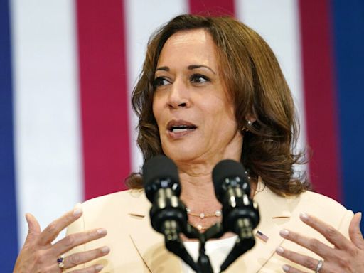 Kamala Harris uses Florida abortion ban as cudgel against Donald Trump