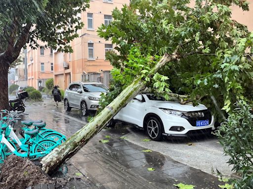 貝碧嘉｜對上海影響漸減弱 機場及公路等交通陸續恢復