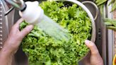 The Health Risks Of Eating Unwashed Lettuce, According To Experts