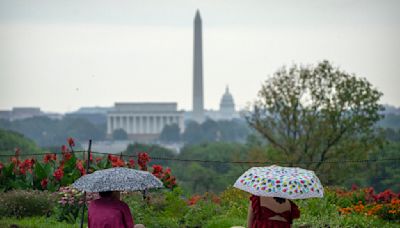 Debby’s deluge: Tropical depression continues downpour on DC area - WTOP News