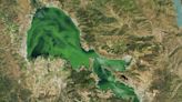 Clear Lake’s green algae is visible from space, NASA photo shows. It's also beneficial