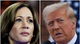 'Torn 20' voters, still on the fence, will decide if Trump or Harris prevails