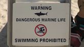 Shark attacks Long Island lifeguard during training exercise