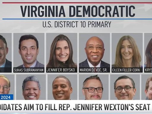 16 candidates competing for Virginia's 10th district seat to replace Wexton