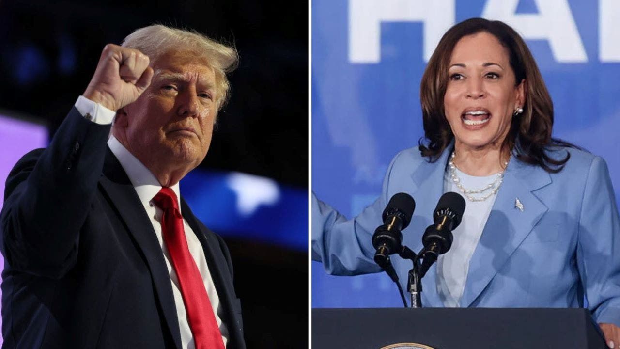 Donald Trump vs Kamala Harris: What do the betting markets say?