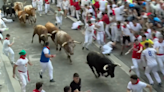 Los toros Domingo Hernández debutan en los Sanfermines como los más rápidos