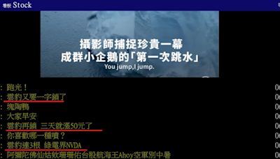 【Hot台股】雲豹連3燈！股民嗨封「下個護國神山」專家：還沒漲完