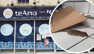 Newcastle restaurant closed down after continuing to serve food during rat infestation