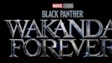 Black Panther: Wakanda Forever | Estreno en cines podría ser cancelado en Francia