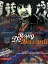 Rang De Basanti – Die Farbe Safran