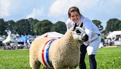 Kington Show set to bring in crowds