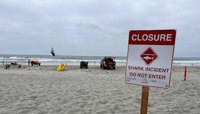 Shark bites swimmer in torso in attack causing significant injuries; Del Mar beach shut down