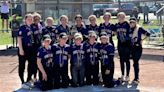 Prep highlights: Tori Briggs' hot bat leads Fowlerville softball to tournament title