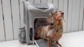 The 7 Best Dog Backpack Carriers of 2023, Tested and Reviewed