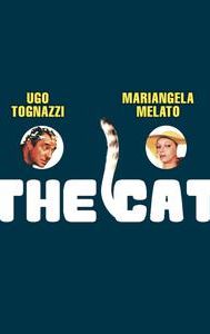 The Cat (1977 film)