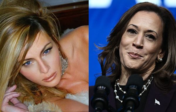 ‘The View’ Host Uses Nude Melania Photo to Defend Kamala