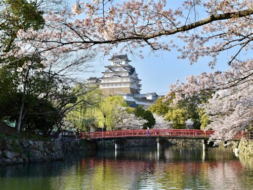 日本姬路城門票擬採雙軌制 非市民參觀較貴